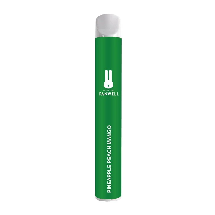 Disposable Vapes 600 Puffs