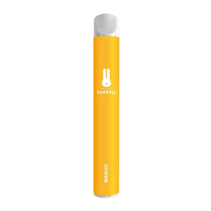 Disposable Vapes 600 Puffs